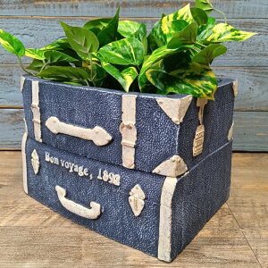 K[fjOG Aؔ v^[ OXt@Co[ FRP   Jo[ K[fG K[fjO G AeB[N i`  킢 FIBER Be[WfjgN 