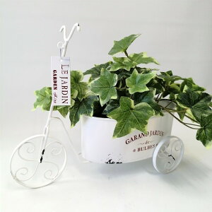 y|Cg10{zK[fjOG Aؔ v^[ uL|bg uL oPc  Jo[ K[fG K[fjO G AeB[N i`  킢 CART gCVN