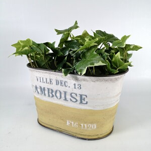 y|Cg10{zK[fjOG Aؔ v^[ uL|bg uL oPc  Jo[ K[fG K[fjO G AeB[N i`  킢 HANG A{[