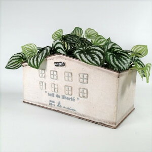 y|Cg10{zK[fjOG Aؔ v^[ uL|bg uL oPc  Jo[ K[fG K[fjO G AeB[N i`  킢 TRAY AW