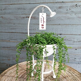 ガーデニング雑貨 植木鉢 プランター ブリキポット ブリキ バケツ 鉢 鉢カバー ガーデン雑貨 ガーデニング 雑貨 アンティーク ナチュラル おしゃれ かわいい ポイント消化 BUCKET シャワーバケットS MT-7061-80