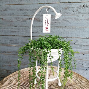 K[fjOG Aؔ v^[ uL|bg uL oPc  Jo[ K[fG K[fjO G AeB[N i`  킢 BUCKET V[oPbgS MT-7061-80