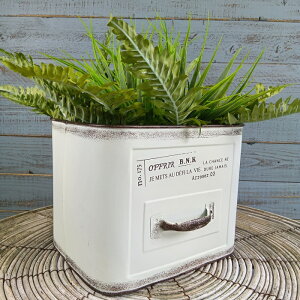 K[fjOG Aؔ v^[ uL|bg uL oPc  Jo[ K[fG K[fjO G AeB[N i`  킢 TRAY It[XNGA YZ-UA261-8