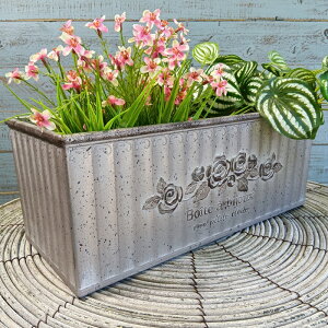 K[fjOG Aؔ v^[ |bg vX`bN  Jo[ K[fG K[fjO G AeB[N i`  킢 FLOWER2 {AgACh YZ-MS1326-80