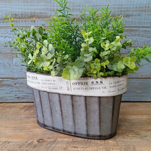 K[fjOG Aؔ v^[ uL|bg uL oPc  Jo[ K[fG K[fjO G AeB[N i`  킢 BOWL It[I[o YZ-UA246-8