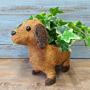 K[fjOG C[oXPbg ACAoXPbg Jo[ v^[ K[fG K[fjO G AeB[N i`  킢 NATURAL Aj}oXPbgh