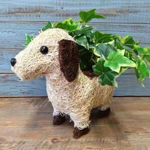 K[fjOG C[oXPbg ACAoXPbg Jo[ v^[ K[fG K[fjO G AeB[N i`  킢 NATURAL Aj}oXPbgh