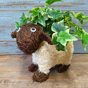 K[fjOG C[oXPbg ACAoXPbg Jo[ v^[ K[fG K[fjO G AeB[N i`  킢 NATURAL Aj}oXPbgV