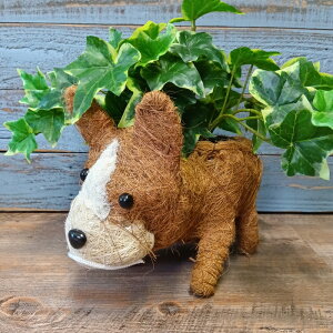 K[fjOG C[oXPbg ACAoXPbg Jo[ v^[ K[fG K[fjO G AeB[N i`  킢 NATURAL Aj}oXPbgt