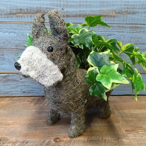 K[fjOG C[oXPbg ACAoXPbg Jo[ v^[ K[fG K[fjO G AeB[N i`  킢 NATURAL Aj}oXPbgV