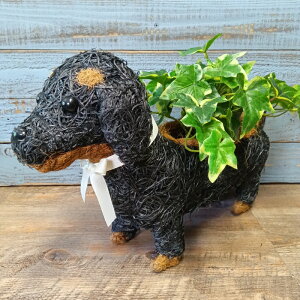 K[fjOG C[oXPbg ACAoXPbg Jo[ v^[ K[fG K[fjO G AeB[N i`  킢 NATURAL Aj}oXPbg_