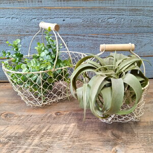 y|Cg10{zK[fjOG C[oXPbg ACAoXPbg Jo[ v^[ K[fG K[fjO G AeB[N i`  킢 WIRE C[