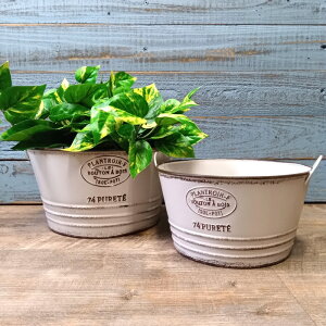 K[fjOG Aؔ v^[ uL|bg uL oPc  Jo[ K[fG K[fjO G AeB[N i`  킢 BOWL vg[Eh YZ-U