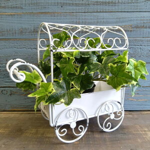 K[fjOG Aؔ v^[ uL|bg uL oPc  Jo[ K[fG K[fjO G AeB[N i`  킢 CART t[J[g MT-7033-80