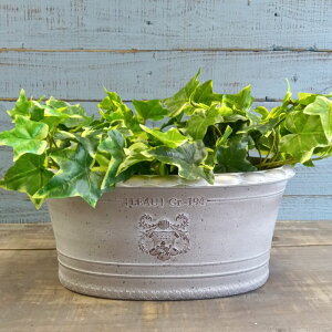 K[fjOG Aؔ v^[ |bg vX`bN  Jo[ K[fG K[fjO G AeB[N i`  킢 FLOWER2 VoI[o YZ-MS1402-8