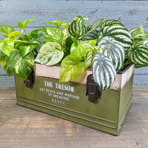 K[fjOG Aؔ v^[ uL|bg uL oPc  Jo[ K[fG K[fjO G AeB[N i`  킢 TRAY g][Ch YZ-UN2135-80