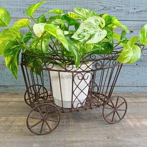 K[fjOG Aؔ v^[ uL|bg uL oPc  Jo[ K[fG K[fjO G AeB[N i`  킢 CART xr[eBA[YJ[g CN-K