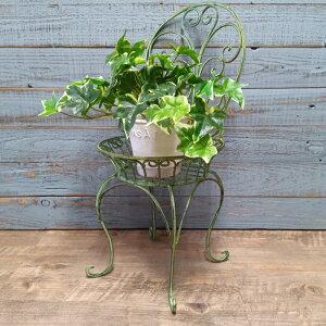 K[fjOG ԑ t[X^h I bN VFt K[fG K[fjO G AeB[N i`  킢 RACK `FAv^[X^h MT-6055-120