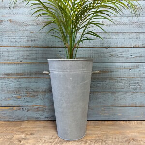 K[fjOG Aؔ v^[ uL|bg uL oPc  Jo[ K[fG K[fjO G AeB[N i`  킢 BUCKET KoiCY|bg MT-4470-100