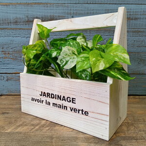 K[fjOG Ebhv^[ ؔ Ebh{bNX Aؔ  Jo[ v^[ K[fG K[fjO G AeB[N i`  킢 WOOD JARDINAGEnh