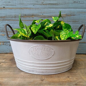 K[fjOG Aؔ v^[ uL|bg uL oPc  Jo[ K[fG K[fjO G AeB[N i`  킢 BOWL K[fuL^C SG-5480