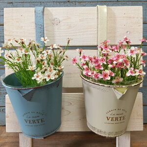 K[fjOG Aؔ v^[ uL|bg uL oPc  Jo[ K[fG K[fjO G AeB[N i`  킢 HANG uLtbN4SET2 SG-548004WB