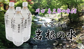 岩根の水 「川口喜三郎の水68」 ミネラル 天然水 健康水 イオン水