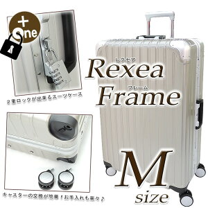 X[cP[X  L[P[X MTCYyTSAbN nCGhf NZAL[u ^(66cm) yʃt[^Cv 3`7p