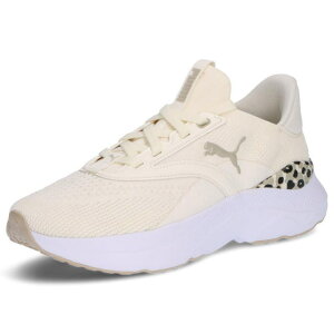 v[} SOFTRIDE Cu nCubh XLY EBY jO g[jO  Xj[J[ EH[ zCg/fU[g _Xg