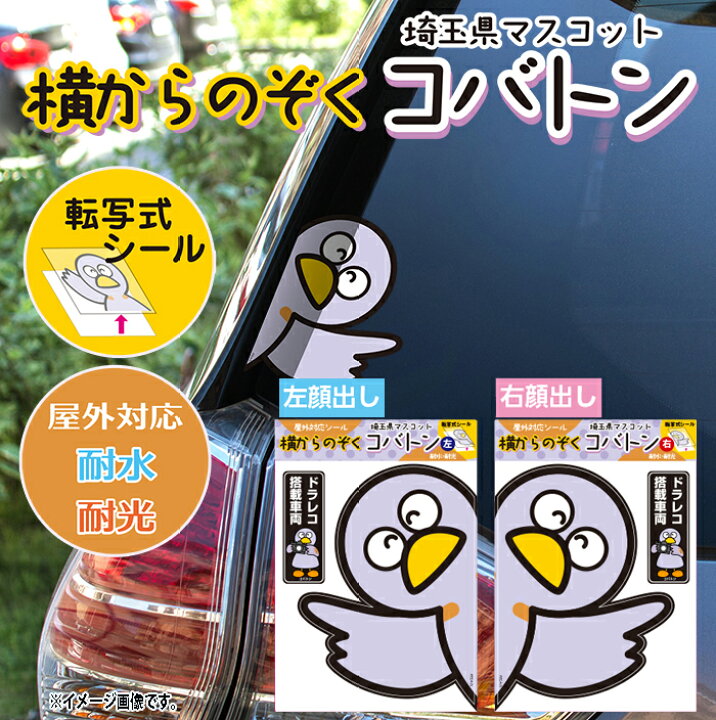 楽天市場】横からのぞくコバトン ステッカー シール 埼玉県の 