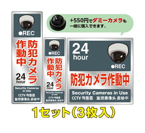 yV[z OEhH hƃJ쓮 h[^JCXgiO[×O[Ofj@1(3)