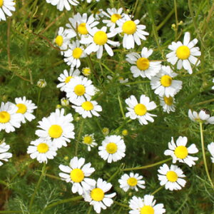 W[}J~[t[EH[^[100mL`200mL