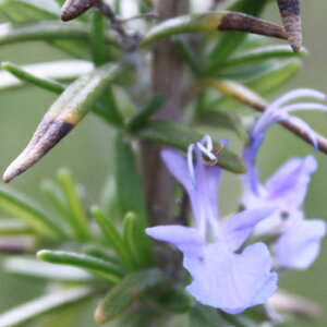 [Y}[t[EH[^[100mL`200mL