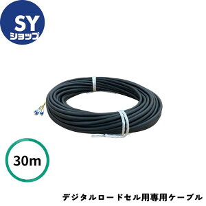 �������t ���� KAMACHO �g���b�N�X�P�[���p�P�[�u�� �i�f�W�^�����[�h�Z���p��p�P�[�u���j�i�݊��i�j 30m K-400D DI-300 DI-1500 DI-1000�p