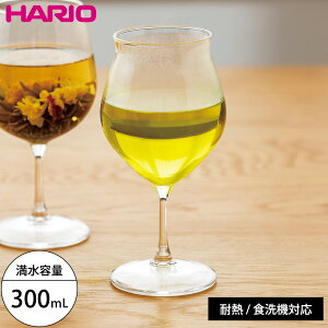 ϔMt[o[OX `[bv HARIO zbgC g  R[q[ OX 300ml ϔMKX nI H@Ή dqWΉ {  ̓ Mtg v[g