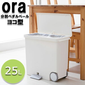 S~ ^ 25L R^ʃy_y[ LBD-11W