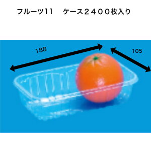 �t���[�c�P�[�X�@�t���[�c11�@A-PET�i2400���j�M�a �����e��@�t���[�c�e��@�t�^�Ȃ��@