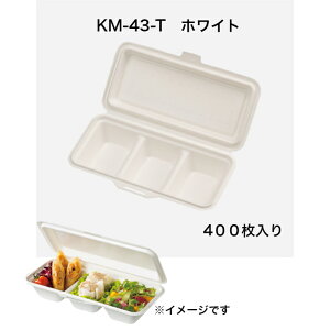 KM-43-T@zCg@400@{bNX@ϖEϐ{bNX@@`{bNX@yؕٓ@eCNAEge@yH@WOK ĝĕٓe   GR ٓ@e ς