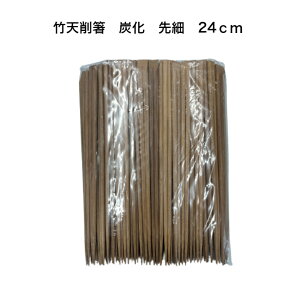 YV픢  24cm 100V |@V픢@Y@9@ĝĔ@Y|V픢@| 24cm ׁ@ׂ