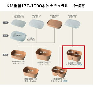 KMd170-1000{̃i`dؗL@P[X300@GR@eCNAEg@Jbve@@i`@