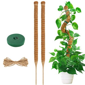 YOUSHY |x ϗtAX e x wSx鐫A RRXeBbNx AT|[g ێ {ێ RRibcx K[fjOx _Ɨp |p (uE 60cm*2)