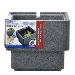 GEX WFbNX _JC KEɐBP[X M