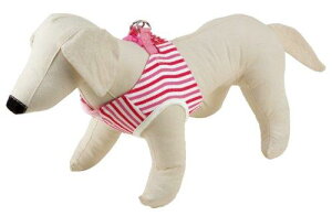 yeBI (Petio) gGWF xXgn[lX XgCv sN ^p SS TCY