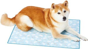 yeBI (Petio) Lp}bg dCgȂ A~WF \tgN[}bg 2L