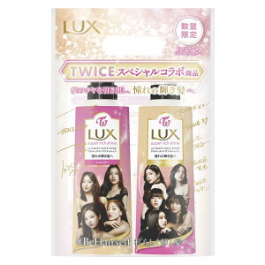 LUX(bNX) X[p[b`VC TWICER{ Vv[ RfBVi[(g[gg) |vZbg 400g+400g AeBCgXVC _[WPA