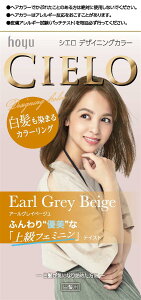  z[[ VG fUCjOJ[ (A[OCx[W) 132g+296mL [ Oi]