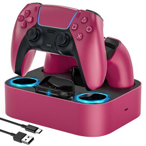 NEWDERY PS5 �R���g���[���[ �[�d�X�^���h 2�䓯���[�d�\ �u���������[�\ �ߏ[�h�~ USB-C�P�[�u���t�� LED�w�������v�t�� ���b�h