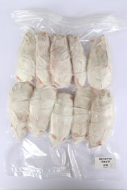 国産冷凍マウス B品 リタイア 10匹 SAfarm