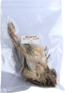 冷凍親ウズラ 未処理 1匹