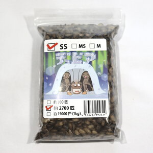 ⓀfrA@SS@2700C